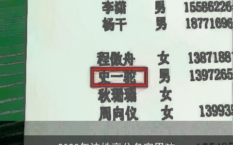 2023年沈姓高分名字男孩