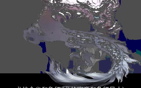 龙的含义和象征(龙的寓意和象征风水)