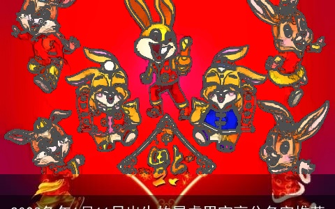 2023兔年1月11日出生的属虎男宝高分名字推荐