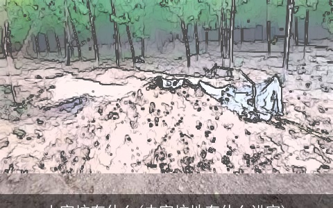 上完坟有什么(去完坟地有什么讲究)