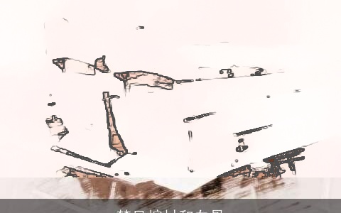 梦见棺材和白骨