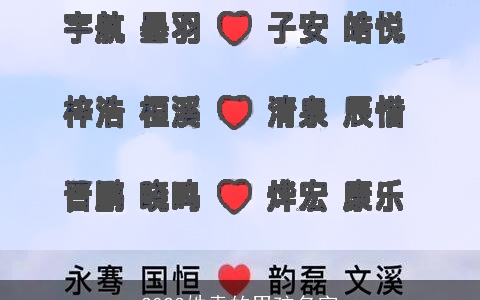 2023姓袁的男孩名字