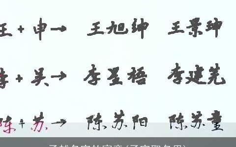 子越名字的寓意(子字取名男)