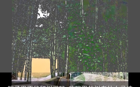 院子里不能留树根吗 砍院里的树有什么忌讳