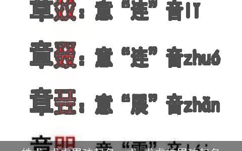 姓术,术虎男孩起名，术,术虎姓男孩起名