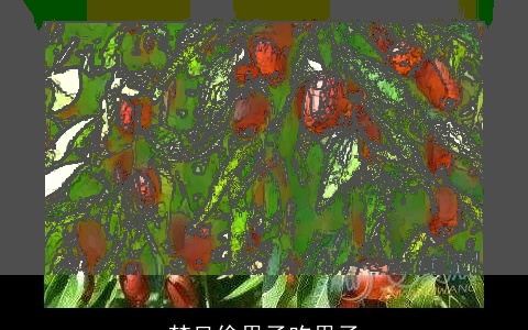 梦见偷果子吃果子