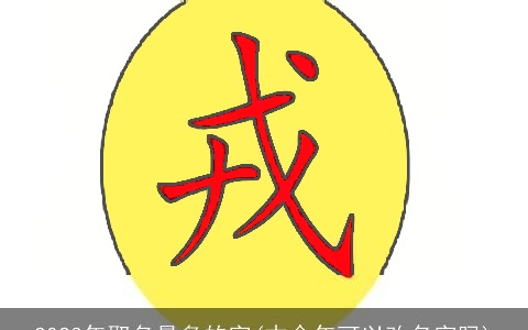 2023年取名最多的字(本命年可以改名字吗)