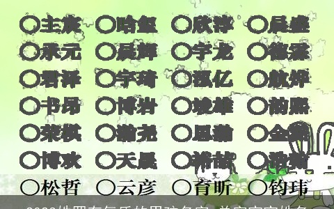 2023姓罗有气质的男孩名字 单字宝宝姓名