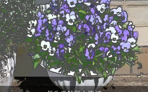 做生意种风水不好