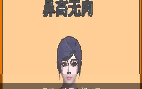 鼻子大到底是好是坏