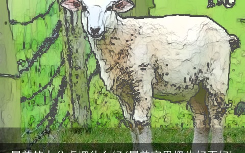 属羊的办公桌摆什么好(属羊家里摆牛好不好)