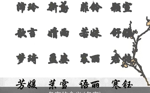 名字的含义(名字)