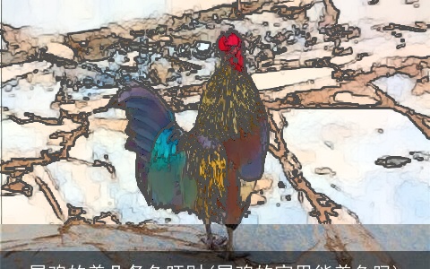 属鸡的养几条鱼旺财(属鸡的家里能养鱼吗)