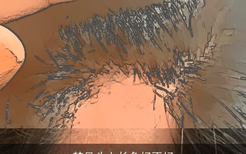 梦见头上长角好不好