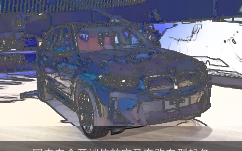 国内车企开端仿效宝马奔跑车型起名