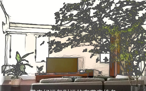 带来好运气财运的布艺店姓名