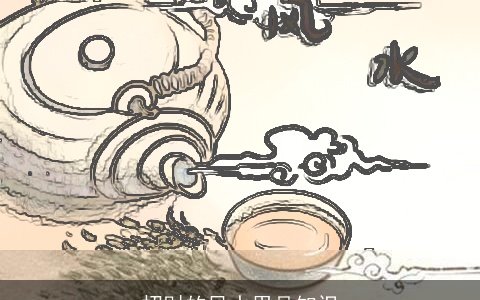 招财的风水用品知识