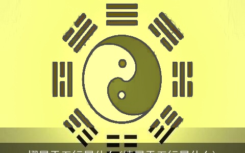 熠属于五行属什么(婧属于五行属什么)