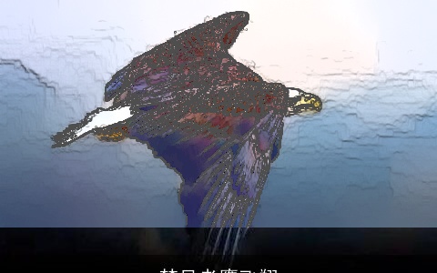 梦见老鹰飞翔