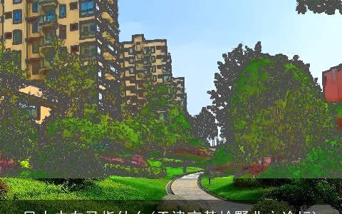 风水中白马指什么(天津京基岭墅业主论坛)