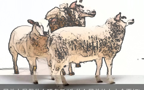 属羊人佩戴什么旺自己(为什么属羊的女人命不好)