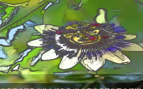 代表事业腾飞有什么好名字(什么花代表工作事业都好)