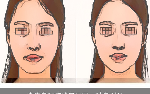 鹰钩鼻和驼峰鼻是同一种鼻型吗