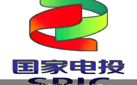 顺利有钱投资公司的名字