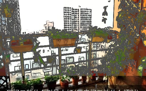 厂门口种什么树风水好(厂房门口放什么招财)