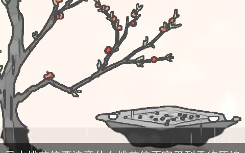 风水桃花位要注意什么桃花位不宜受到重物压迫