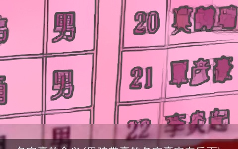 名字豪的含义(男孩带豪的名字豪字在后面)