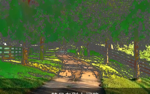 梦见向别人问路