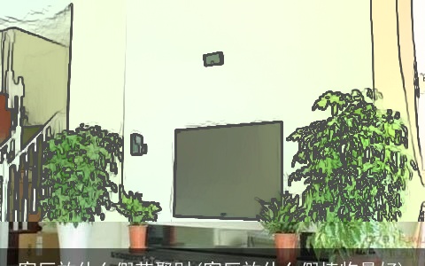 客厅放什么假花聚财(客厅放什么假植物最好)