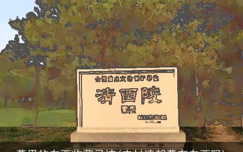 墓里的东西收藏忌讳(农村清朝墓有东西吗)