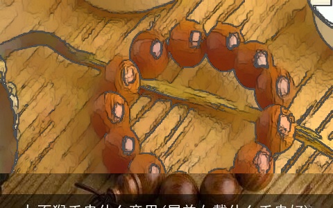 九不猴手串什么意思(属羊女戴什么手串好)