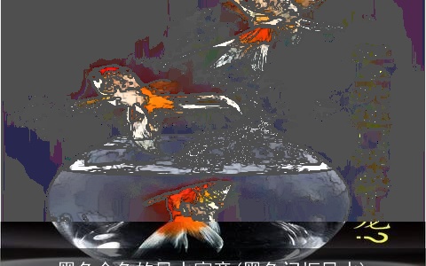 黑色金鱼的风水寓意(黑色门框风水)