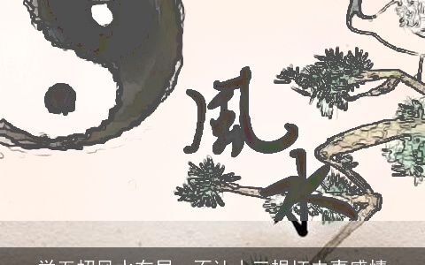 学五招风水布局，不让小三损坏夫妻感情