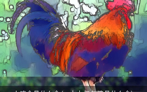 土鸡命是什么命(一九九三年鸡是什么命)