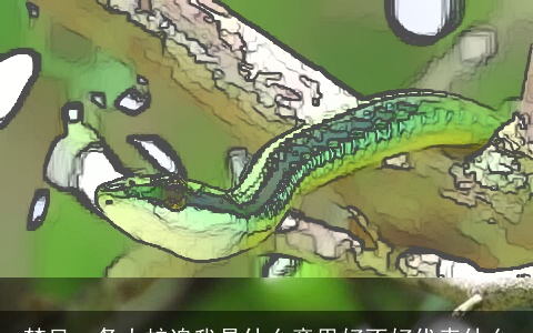 梦见一条大蛇追我是什么意思好不好代表什么