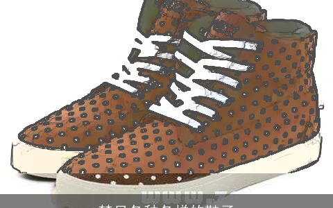 梦见各种各样的鞋子