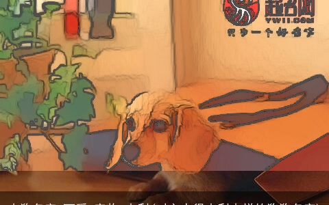 小狗名字 可爱 宠物 吉利(对主人很吉利吉祥的狗狗名字)