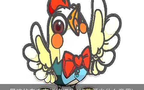 属鸡的车内吉祥物摆件(挂件开光什么意思)