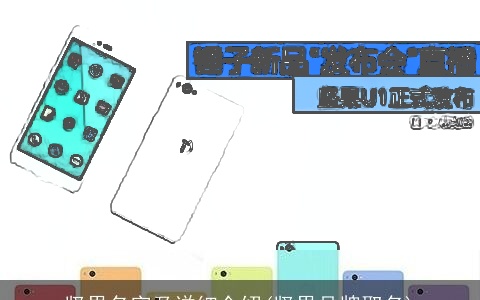 坚果名字及详细介绍(坚果品牌取名)