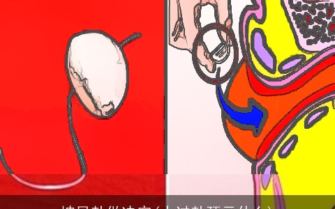 坤艮卦做决定(大过卦预示什么)