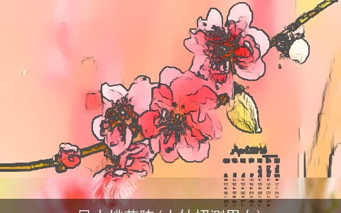 风水桃花阵(小妙招测男女)