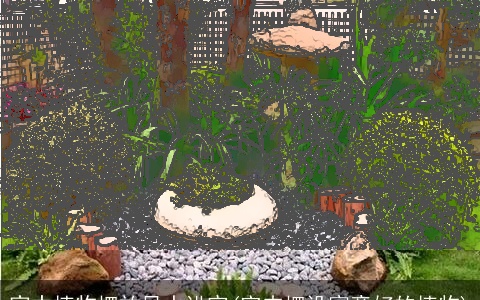 家中植物摆放风水讲究(室内摆设寓意好的植物)