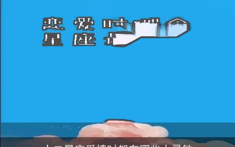 十二星座爱情时都有哪些小灵敏