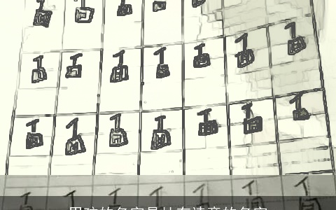 男孩的名字是杜有诗意的名字