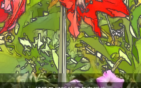 特殊又好听的花名有哪些