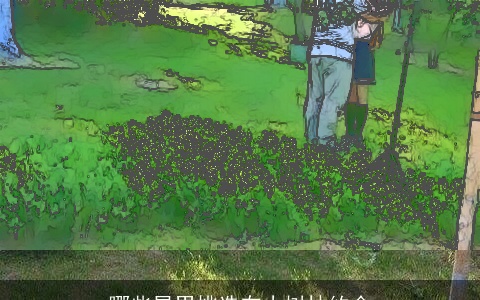 哪些星男挑选在小树林约会